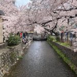 京都「先斗町」現場実測